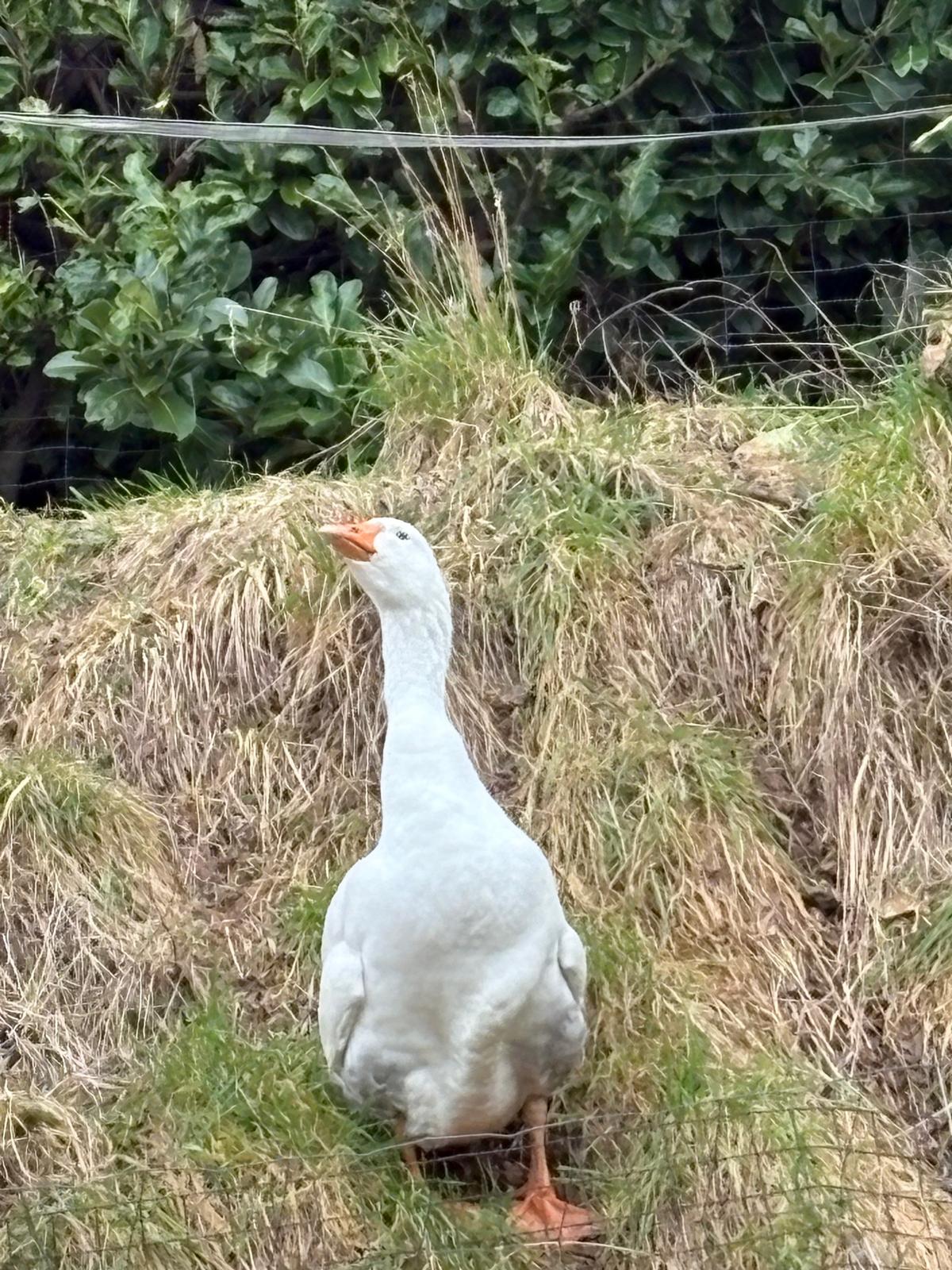 Horeca Meets Agro Tour RVS-LBWhatsApp Image 2025-02-10 at 14.55.08 (3) RVS-LB