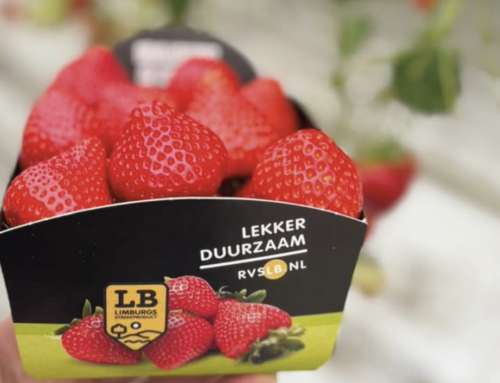 RVS-LB aardbeien en asperges te koop bij PLUS